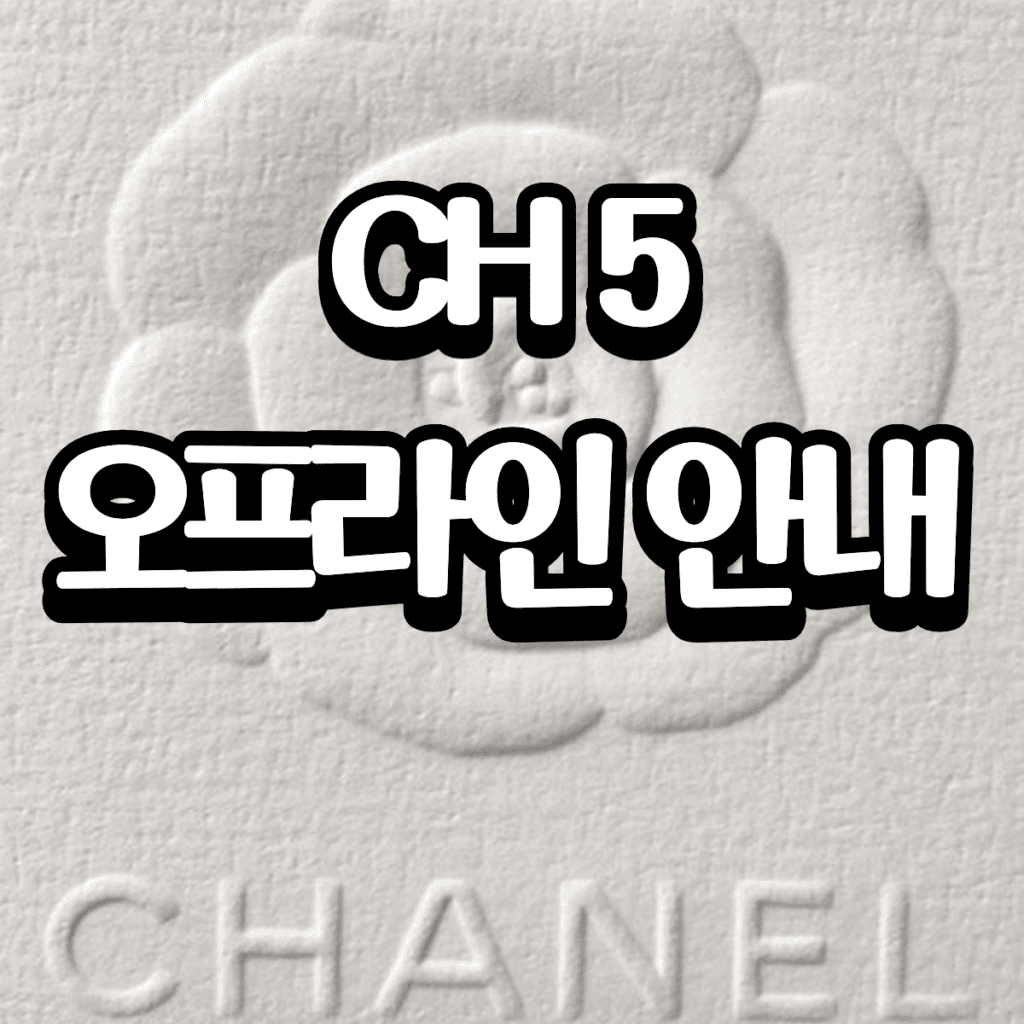 샤넬 코코크러쉬 귀걸이 라지 – 14K/18K 국내제작 64 4 9